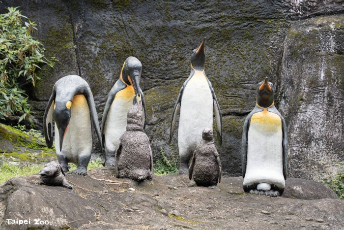 母親節到動物園「曬親愛」！尋找動物親子雕塑，感受自然界最溫柔的守護